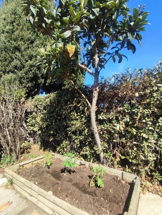 Chez Nico - 100 M Plages - Clim - Jardin - Parking - Quartier Calme